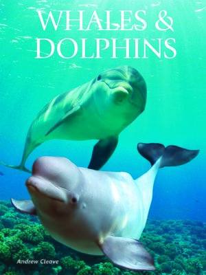 cover image of Whales & Dolphins